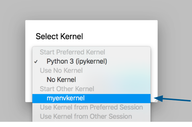 New kernel selected in Jupyter notebook